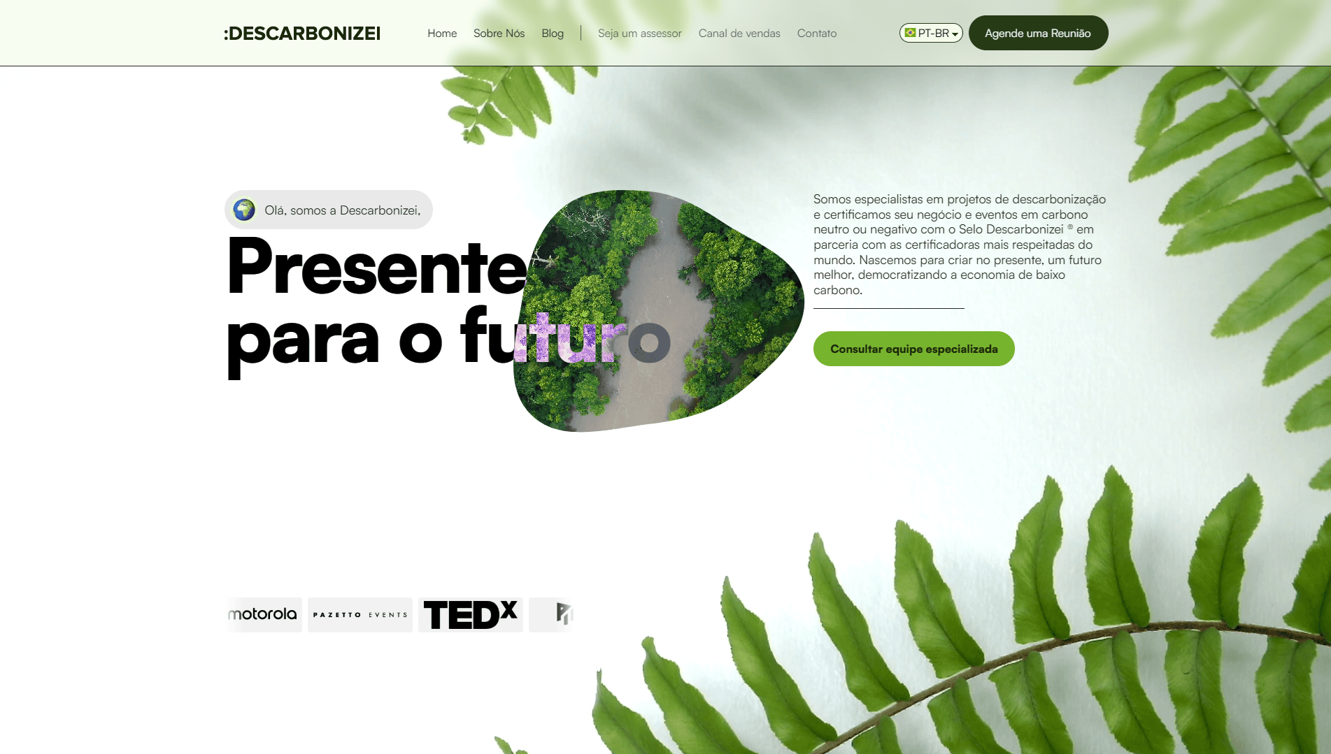 Descarbonizei